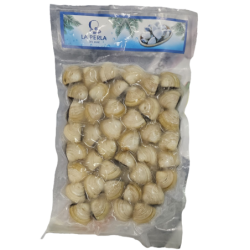 PERLA D.MAR AMEIJOA BR. 40/60 6x1Kg(80% NET.) VNM