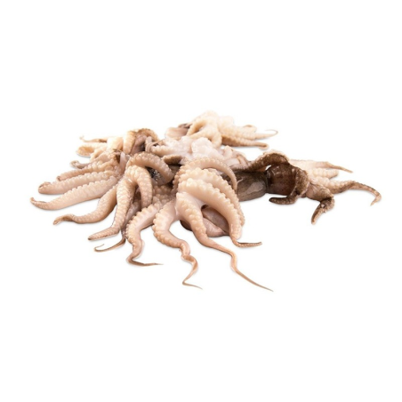 PEROLA DO MAR MOSCARDINOS 20/40 10x1Kg VNM