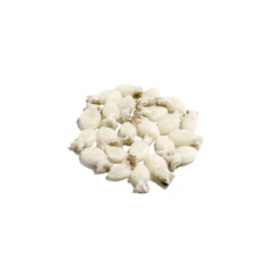 LA PERLA SEPIOLINE 20/40 10x1Kg