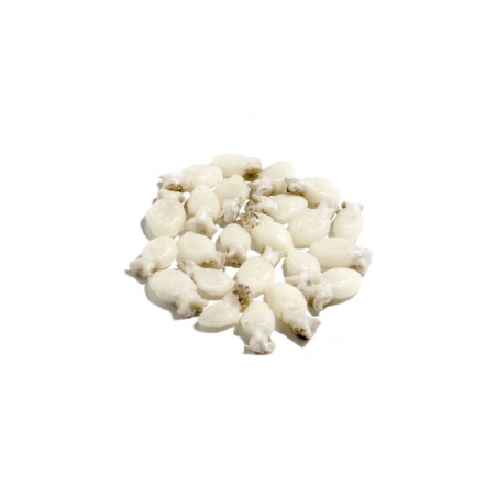 LA PERLA SEPIOLINE 20/40 10x1Kg