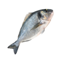 DORADA ROYAL INTEIRA 400/500 PEROLA D.MAR 10x750gr