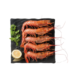 CAMARAO SELVAGEM ARGENTINA L2 6x2Kg