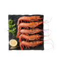 CAMARAO SELVAGEM ARGENTINA L2 6x2Kg