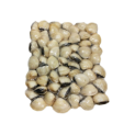 PERLA D.MAR AMEIJOA BR. 60/80 10x1Kg(100% NET.) VNM