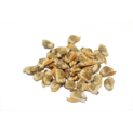 PERLA D.MAR MIOLO AMEIJOA BR.1000/1500 10x1Kg VNM