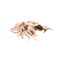 PEROLA DO MAR MOSCARDINOS 20/40 10x1Kg VNM