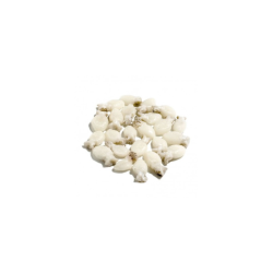 LA PERLA SEPIOLINE 20/40 10x1Kg