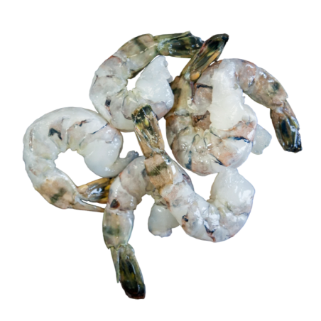 SEAGULL BLACK TIGER  8/12 TAIL-ON 700gr 10x1Kg