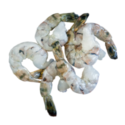 SEAGULL BLACK TIGER  31/40 TAIL-ON 700gr 10x1Kg