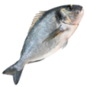 DORADA ROYAL INTEIRA 400/500 PEROLA D.MAR 10x750gr