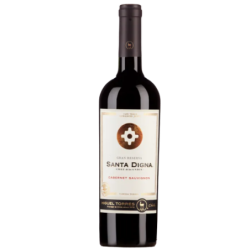 TORRES SANTA DIGNA CHILE CENTRAL VALLEY 6x75cl