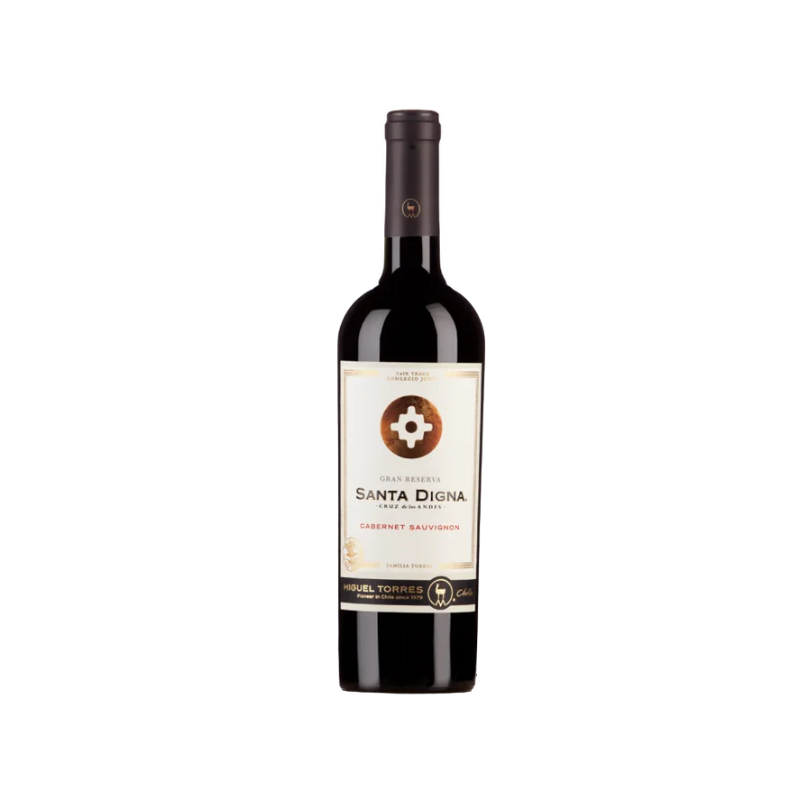 TORRES SANTA DIGNA CHILE CENTRAL VALLEY 6x75cl