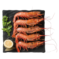CAMARAO SELVAGEM ARGENTINA L2 6x2Kg