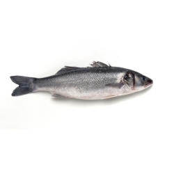 PEROLA D.MAR ROBALO INTEIRO 12x750gr